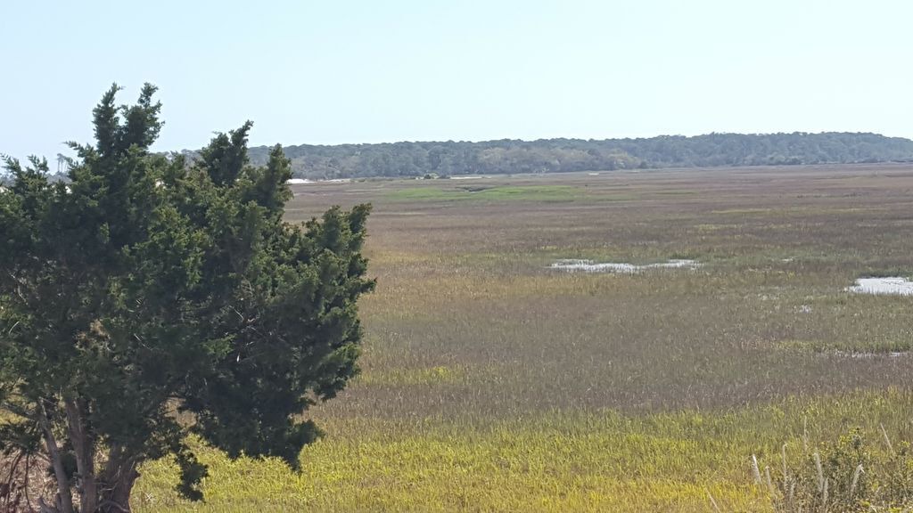 Photo of Outdoor in Oceanmarsh Subdivision