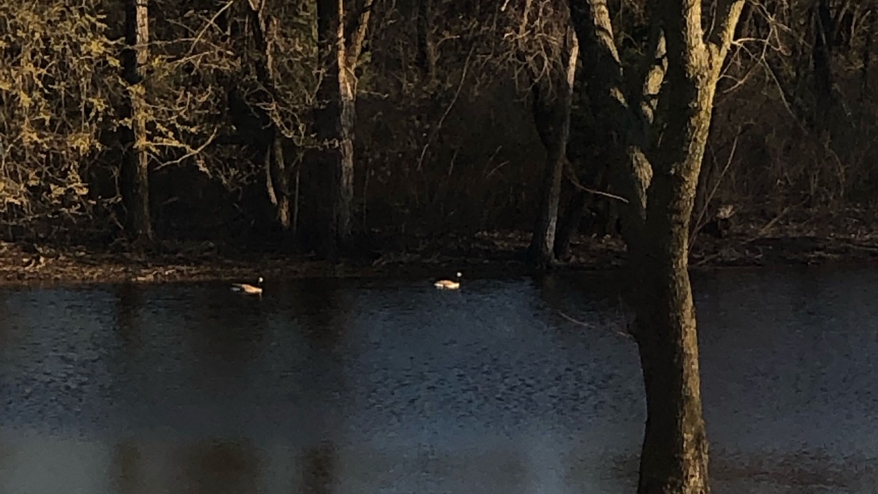 Photo of Others in Derby