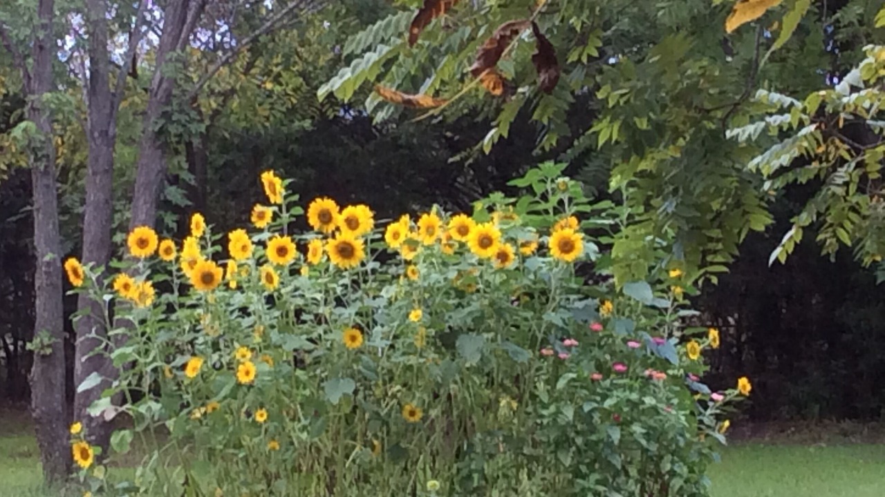 Photo of Outdoor in Derby