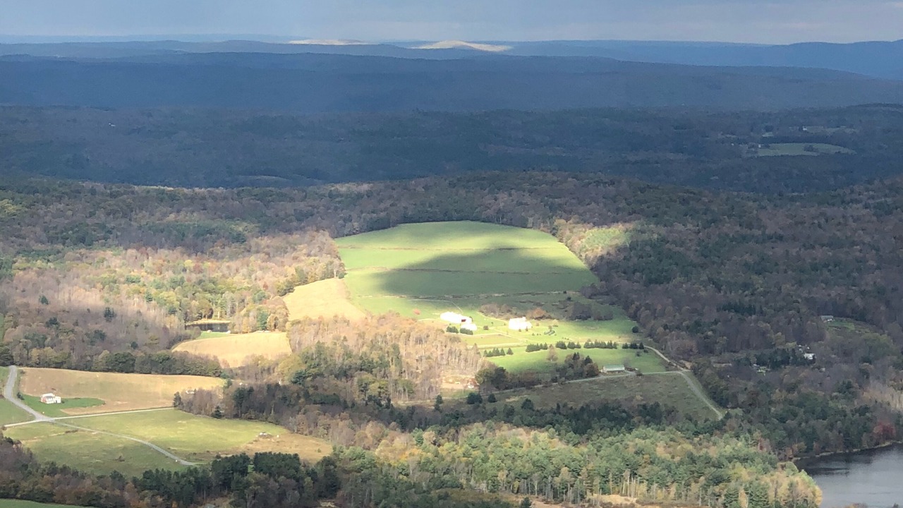 Photo of Others in Stamford