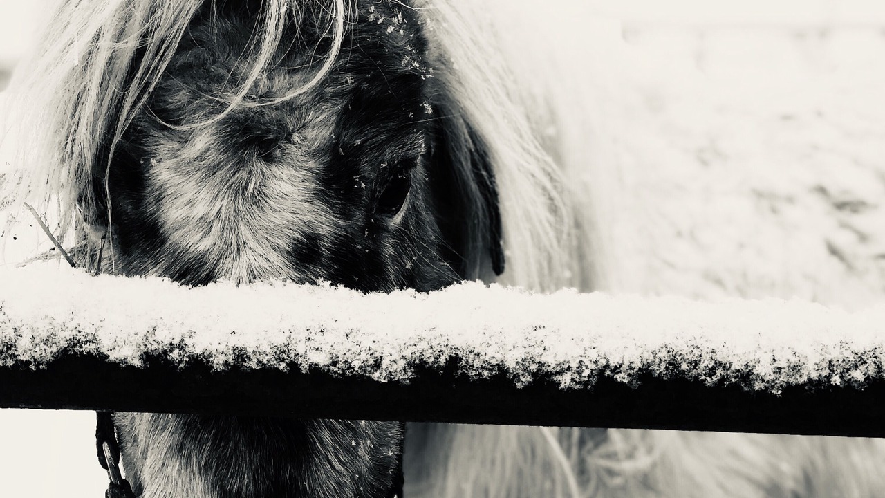 Photo of Others in Stamford