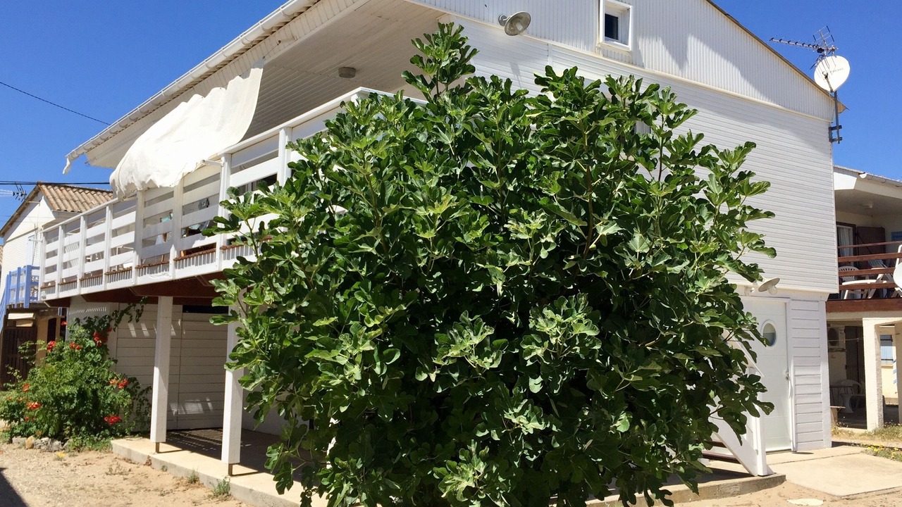 Photo of Outdoor in Gruissan Plage