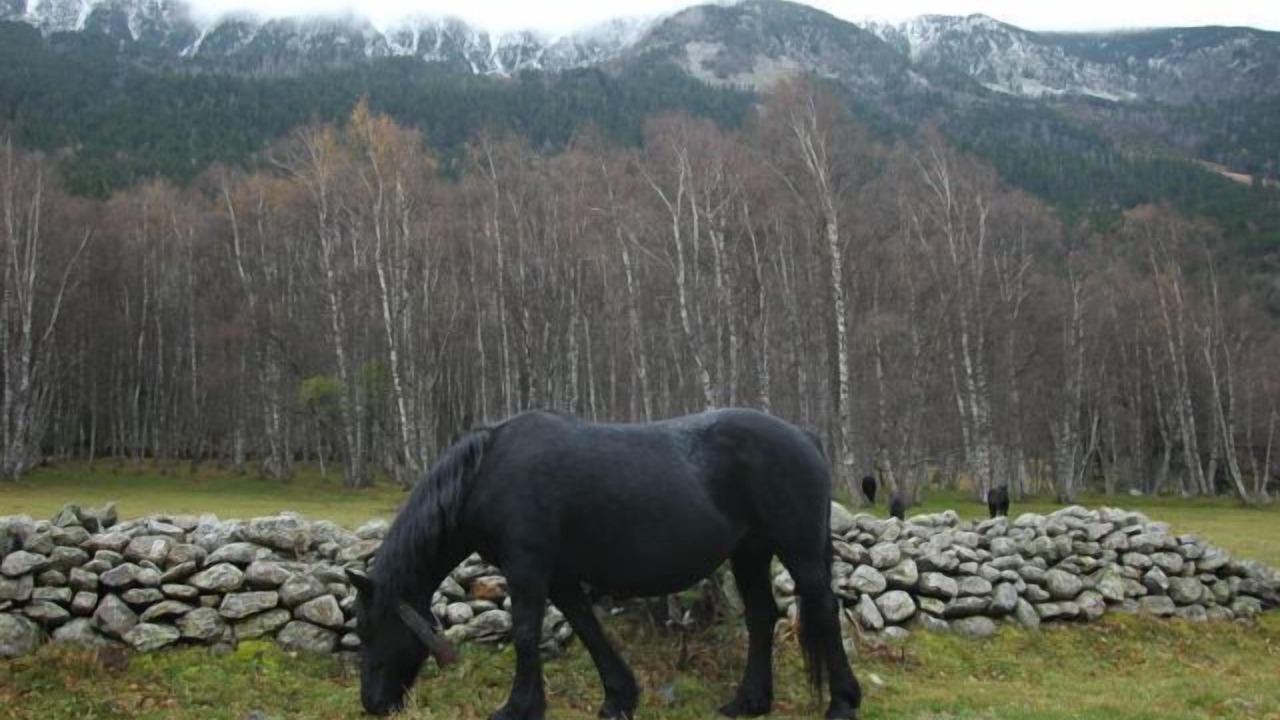 Photo of Outdoor in Porte-Puymorens