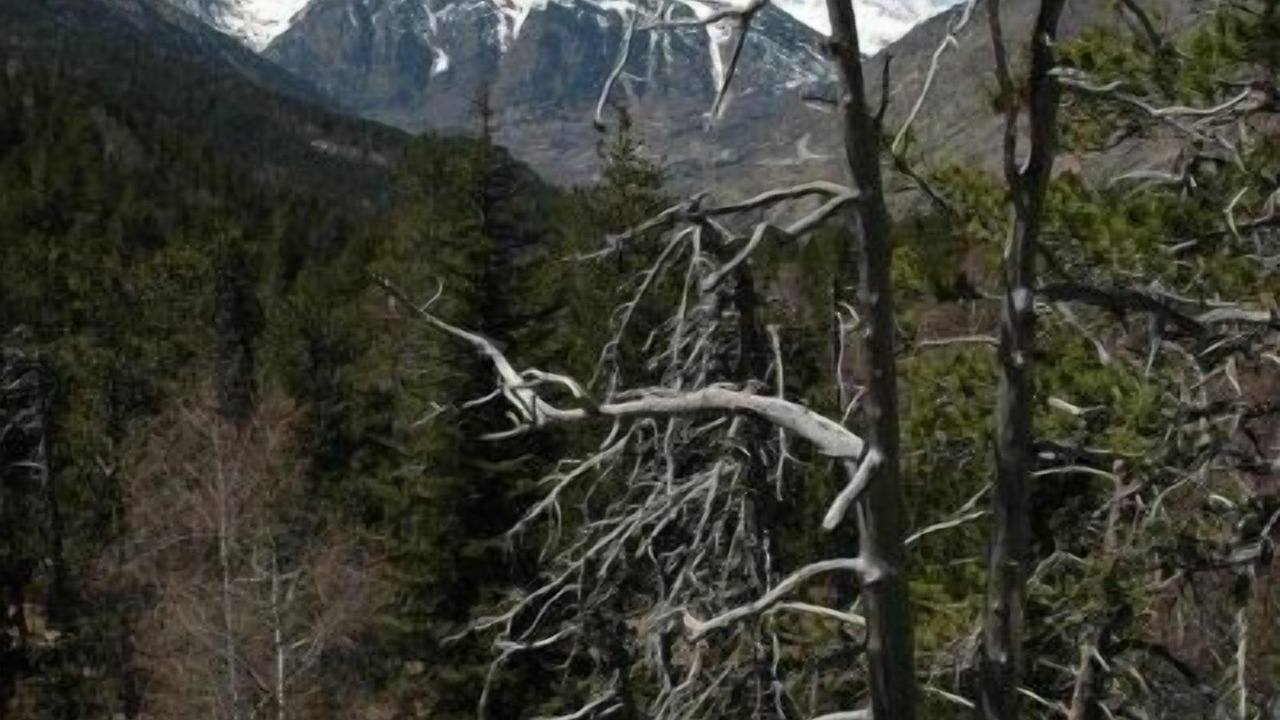 Photo of Outdoor in Porte-Puymorens