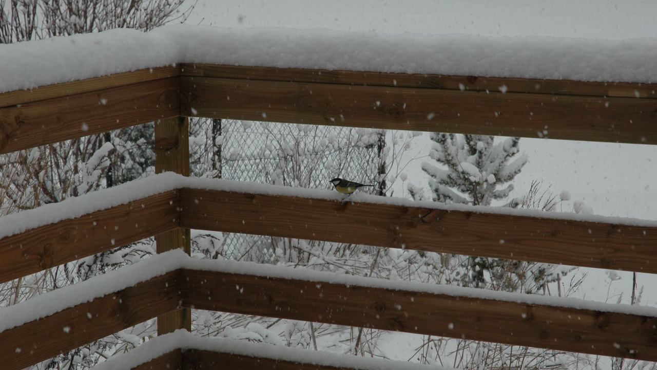 Photo of Outdoor in Porte-Puymorens