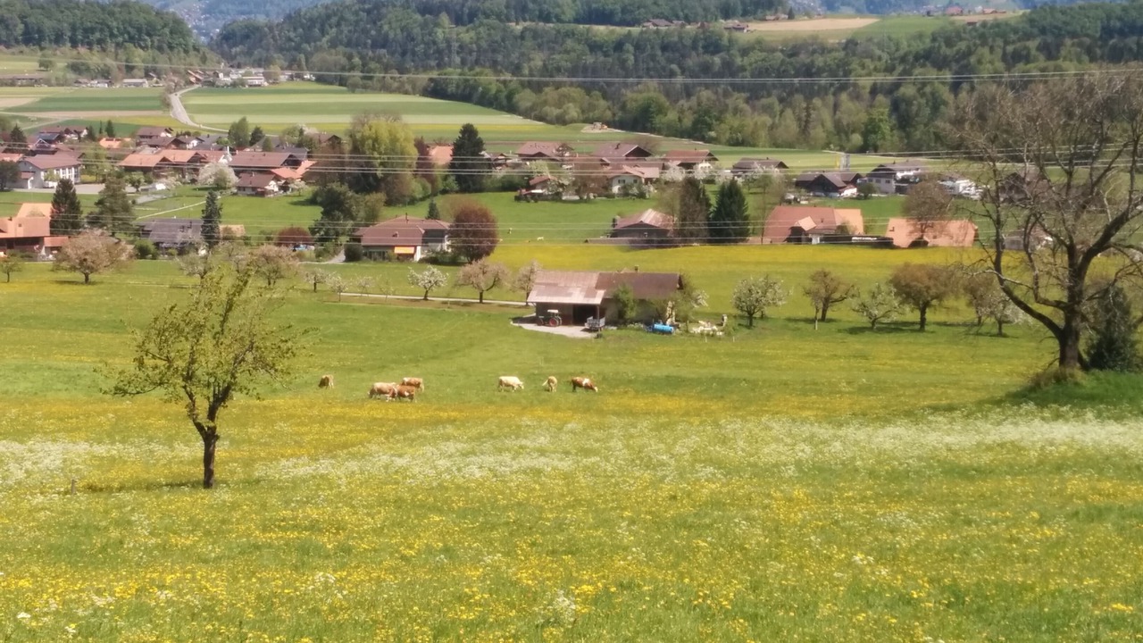 Photo of Others in Reutigen