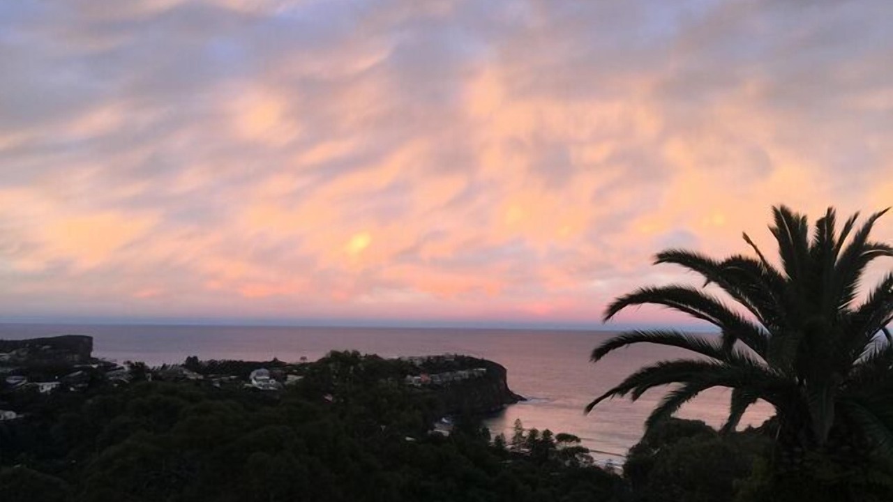 Photo of Others in Bilgola Plateau