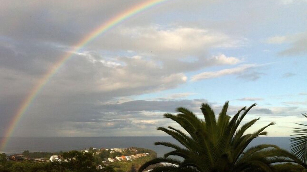 Photo of Others in Bilgola Plateau