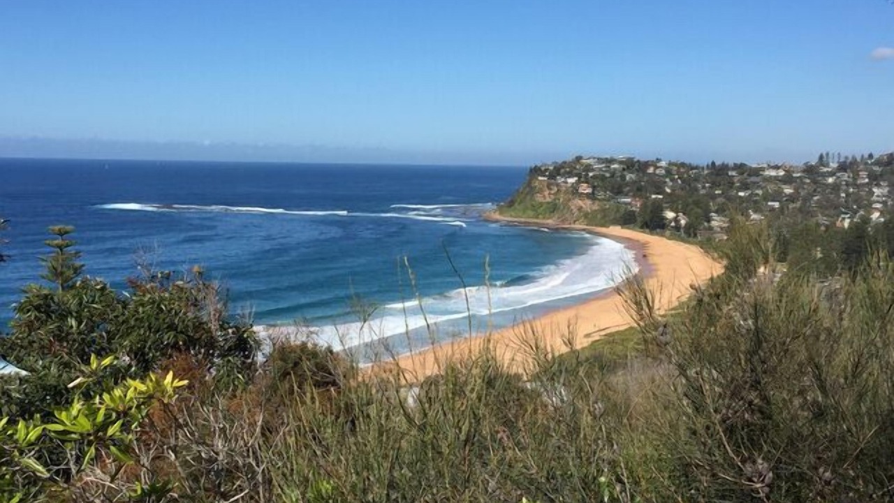 Photo of Others in Bilgola Plateau