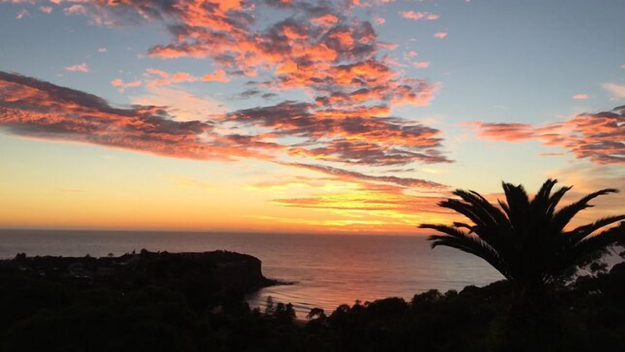 Photo of Others in Bilgola Plateau