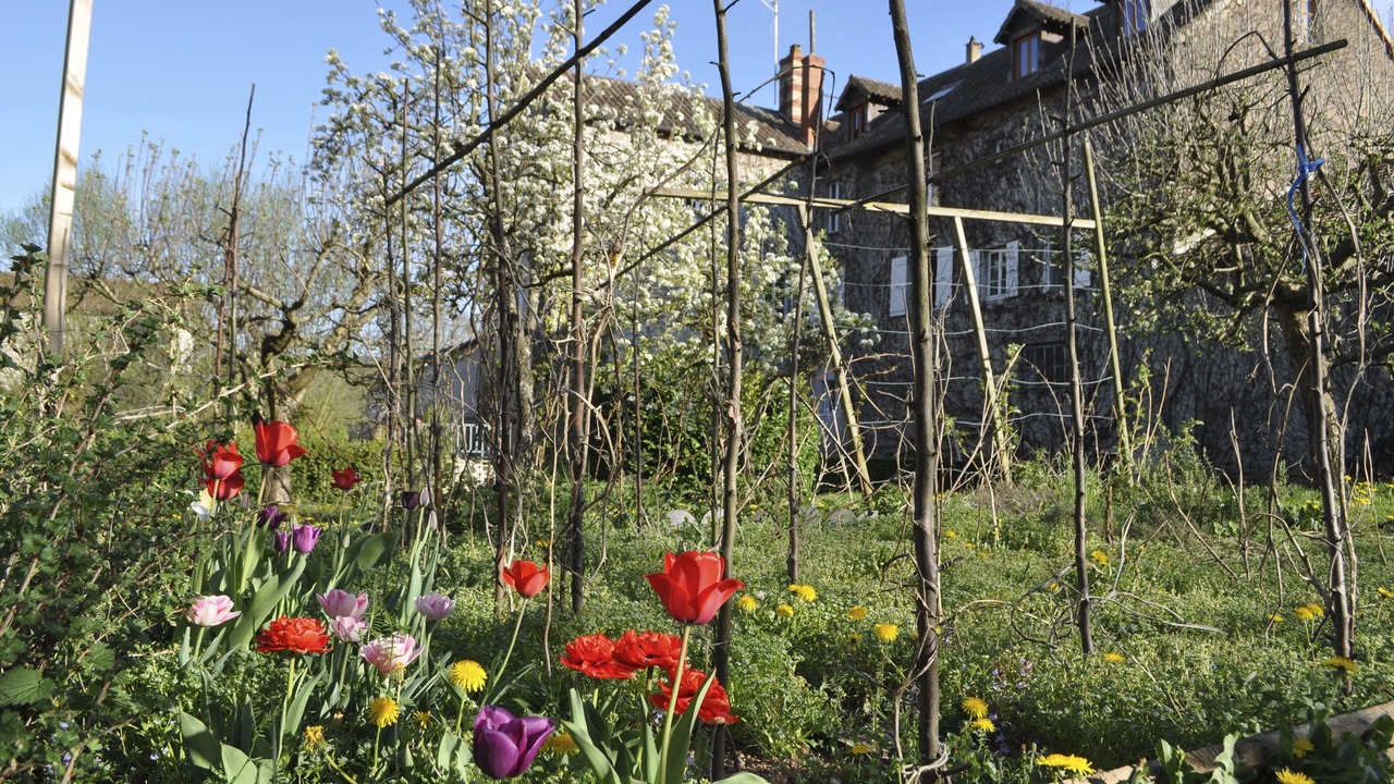 Photo of Outdoor in Lournand