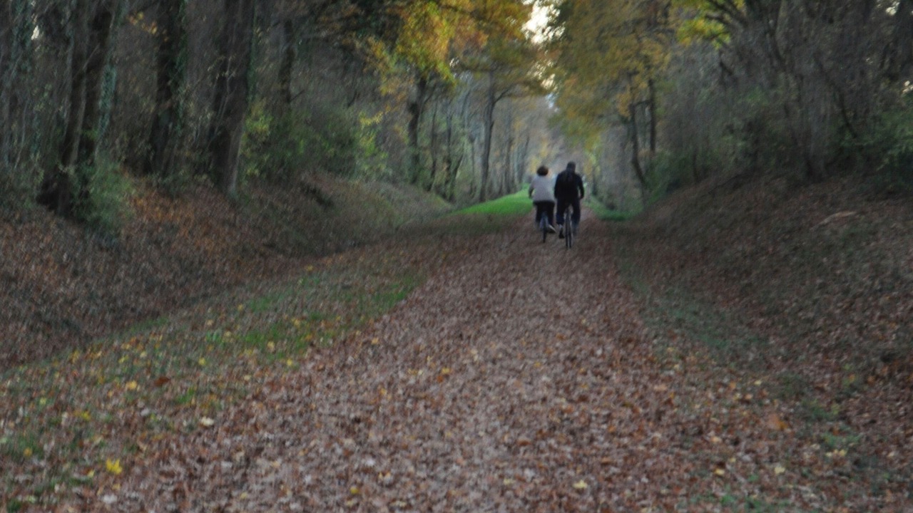 Photo of Outdoor in Lournand