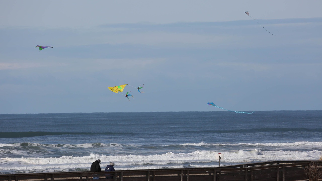 Photo of Others in Long Beach