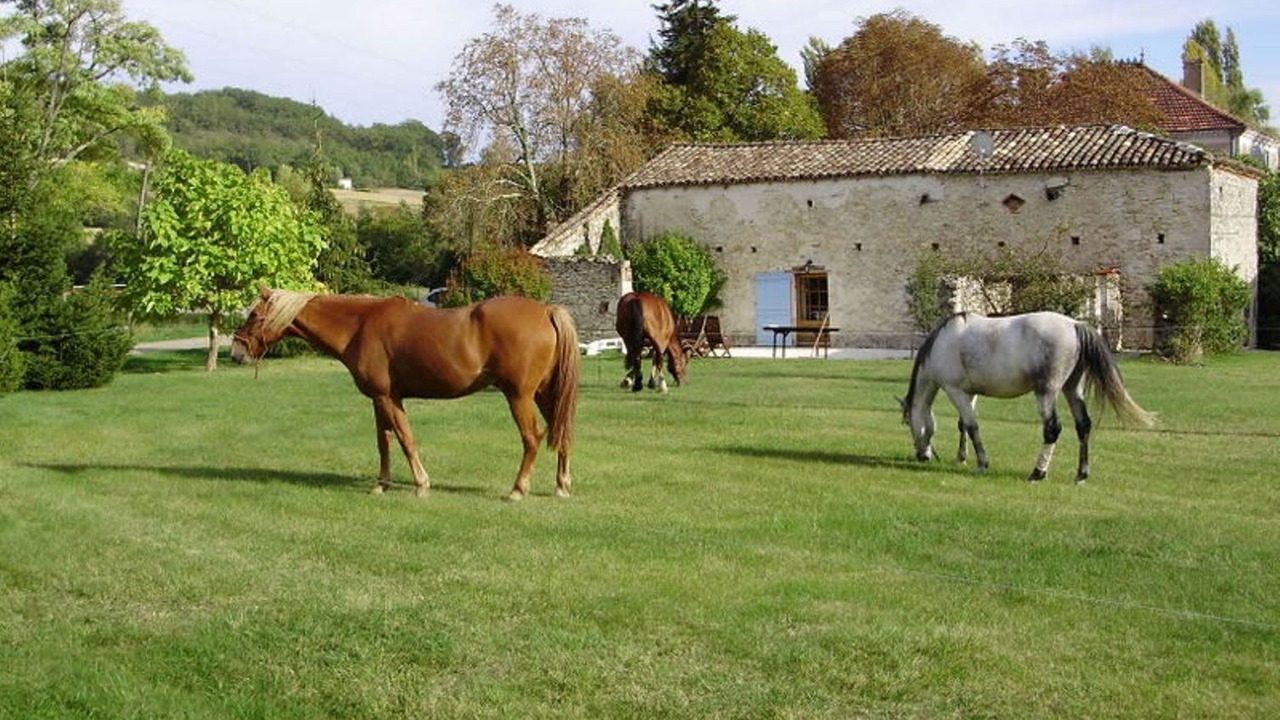 Photo of Others in Roquecor