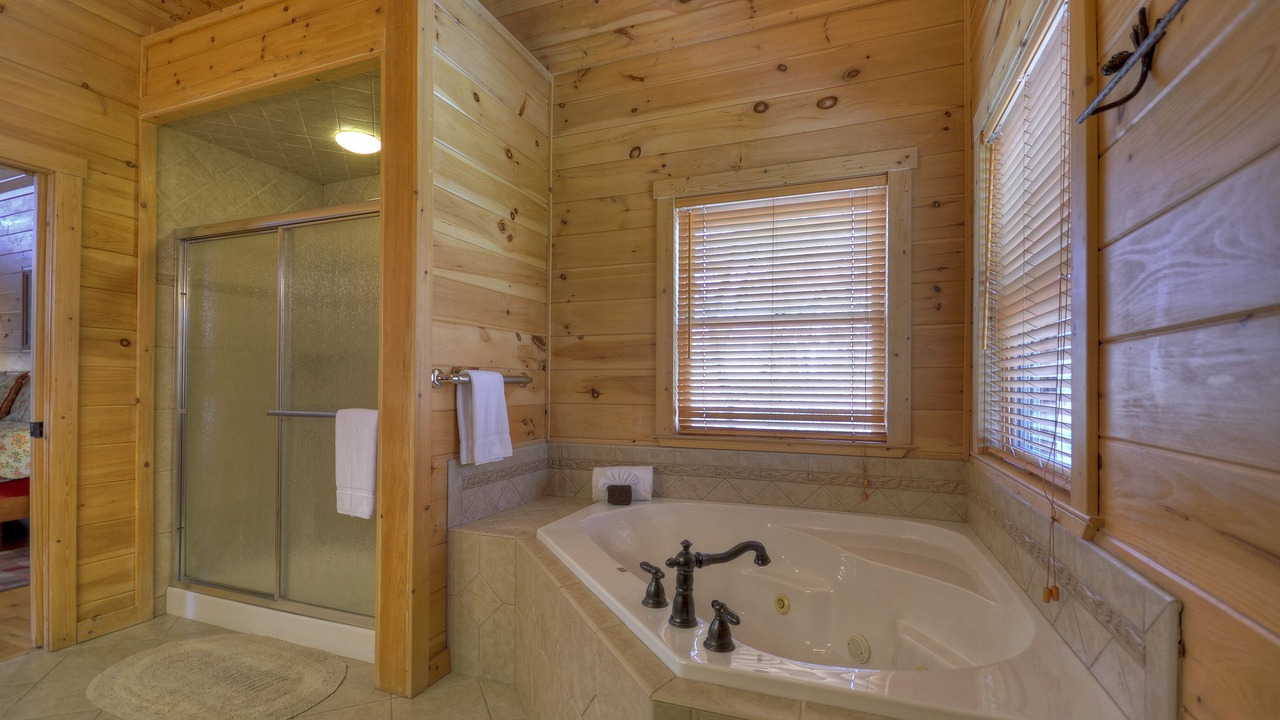 Photo of Bathroom in Blue Ridge