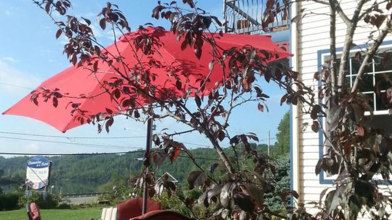 Photo of Outdoor in Saint-Boniface