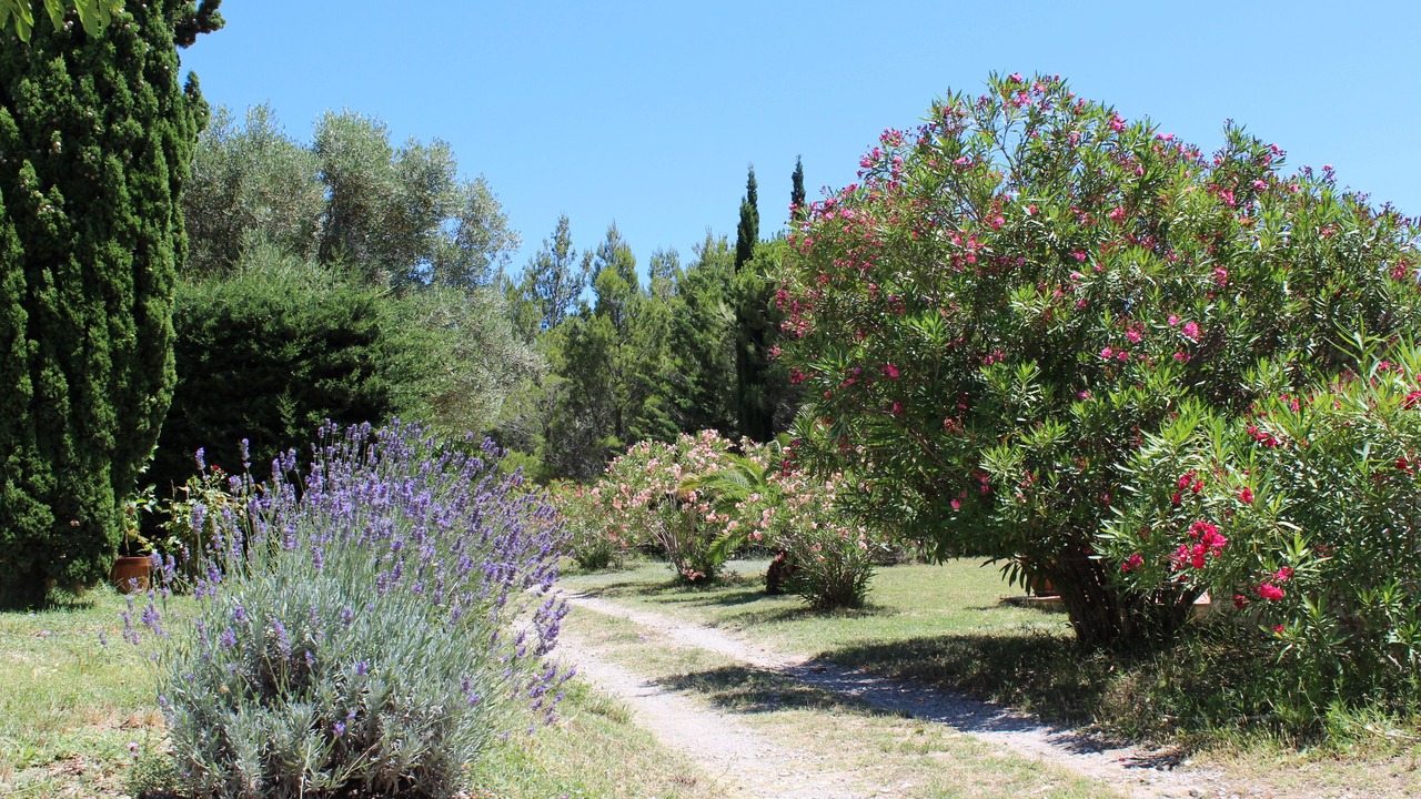 Photo of Outdoor in Narbonne