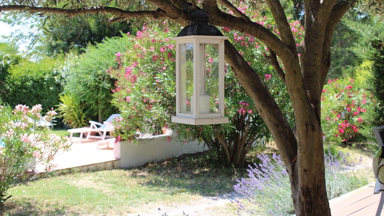 Photo of Outdoor in Narbonne