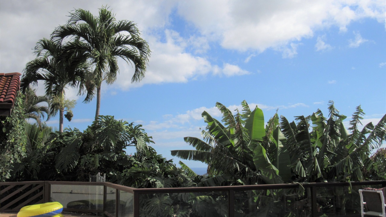 Photo of Outdoor in Kona Palisades