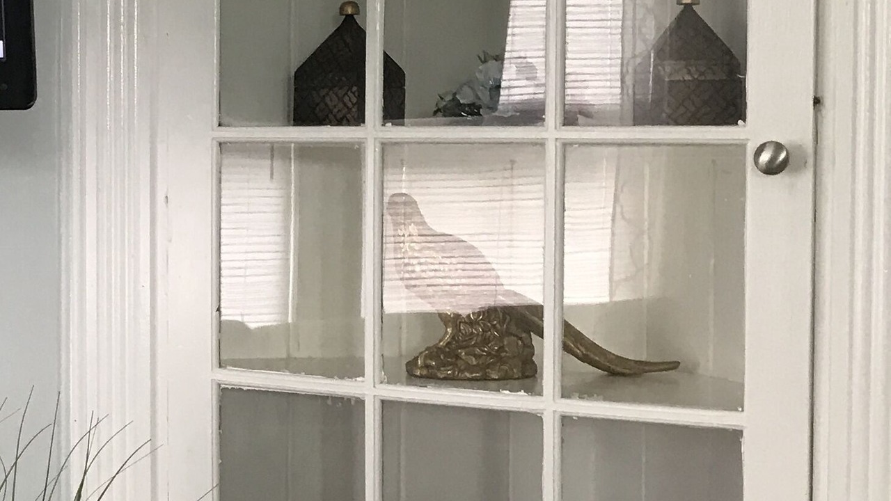 Photo of Others in North Carolina Coast