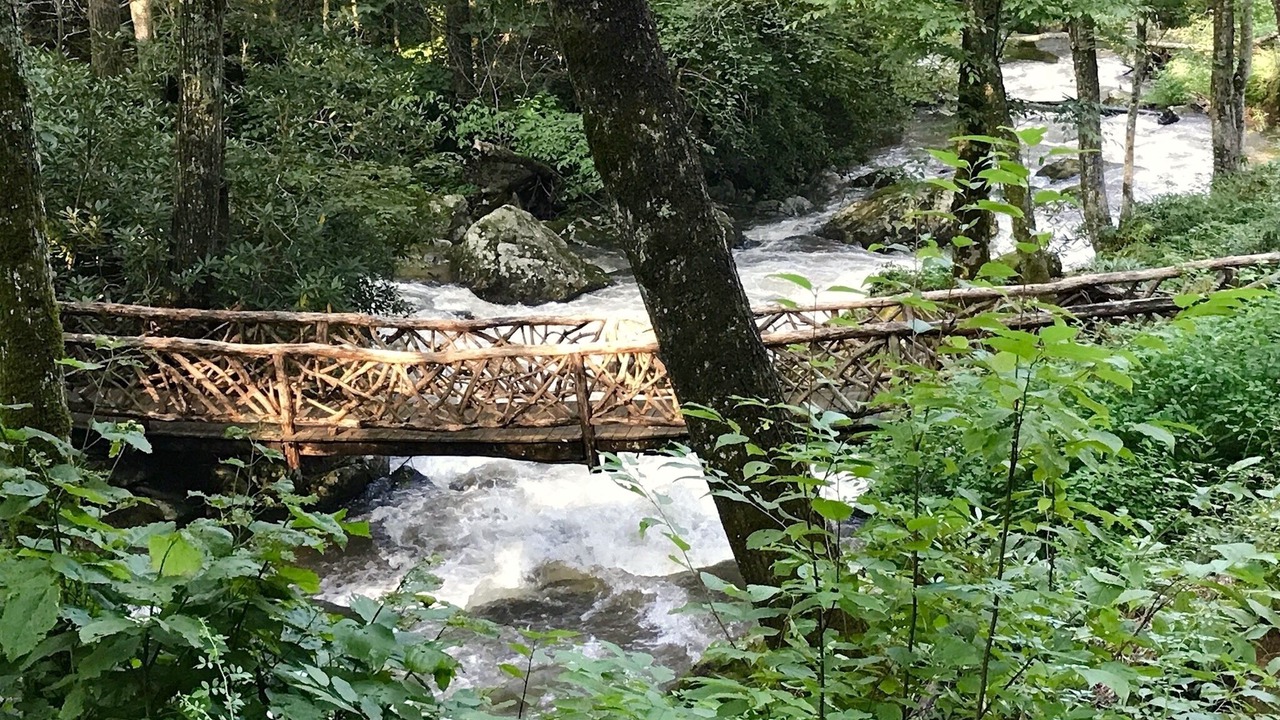 Photo of Others in Hot Springs