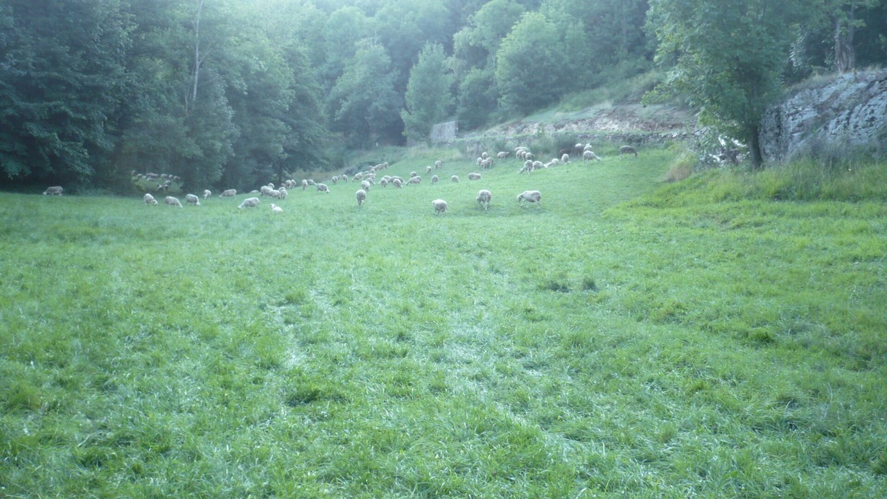 Photo of Outdoor in Prevencheres