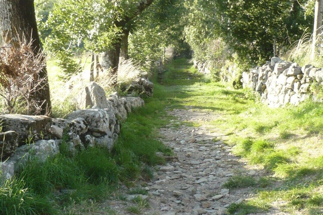 Photo of Outdoor in Prevencheres
