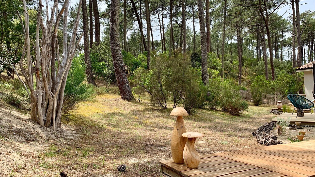 Photo of Outdoor in Maubuisson