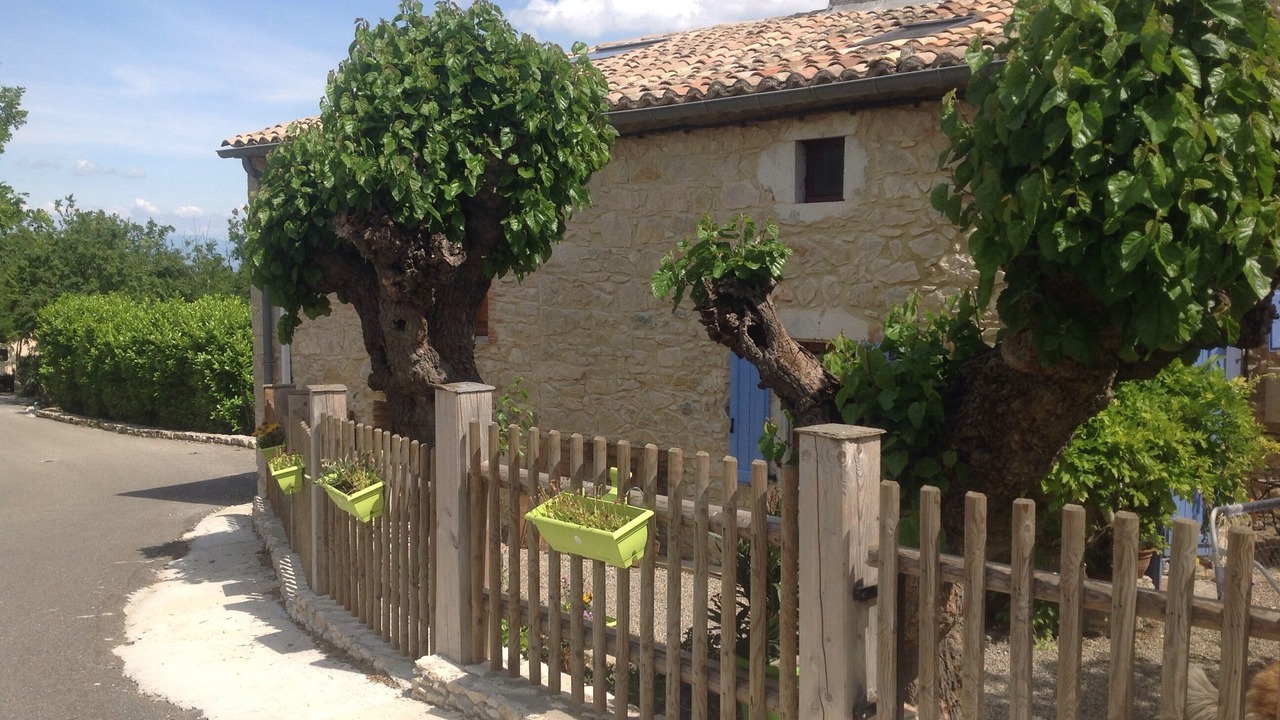 Photo of Outdoor in Gras