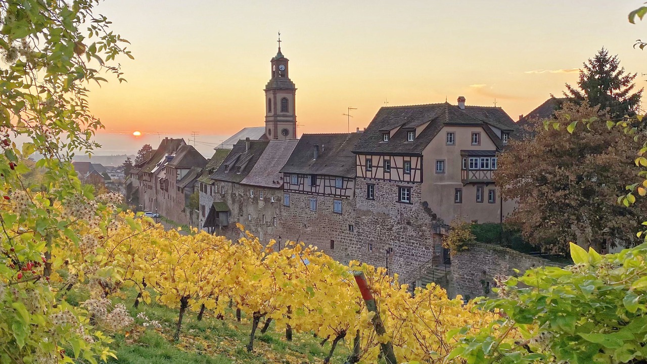 Photo of Others in Riquewihr