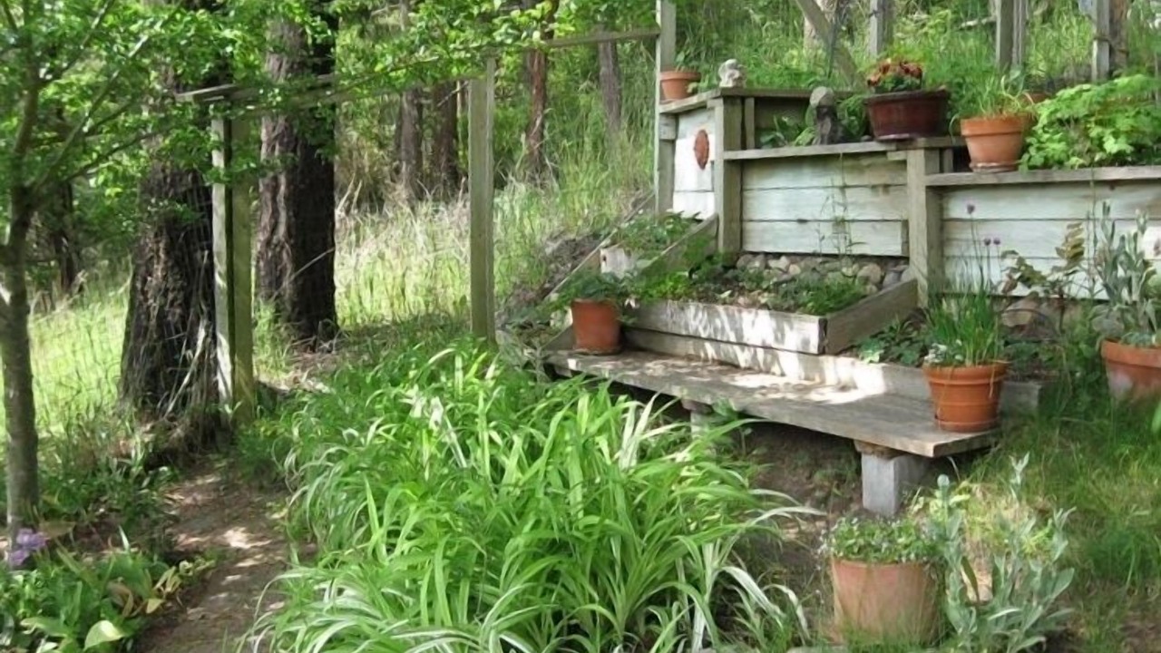 Photo of Outdoor in Lopez Island