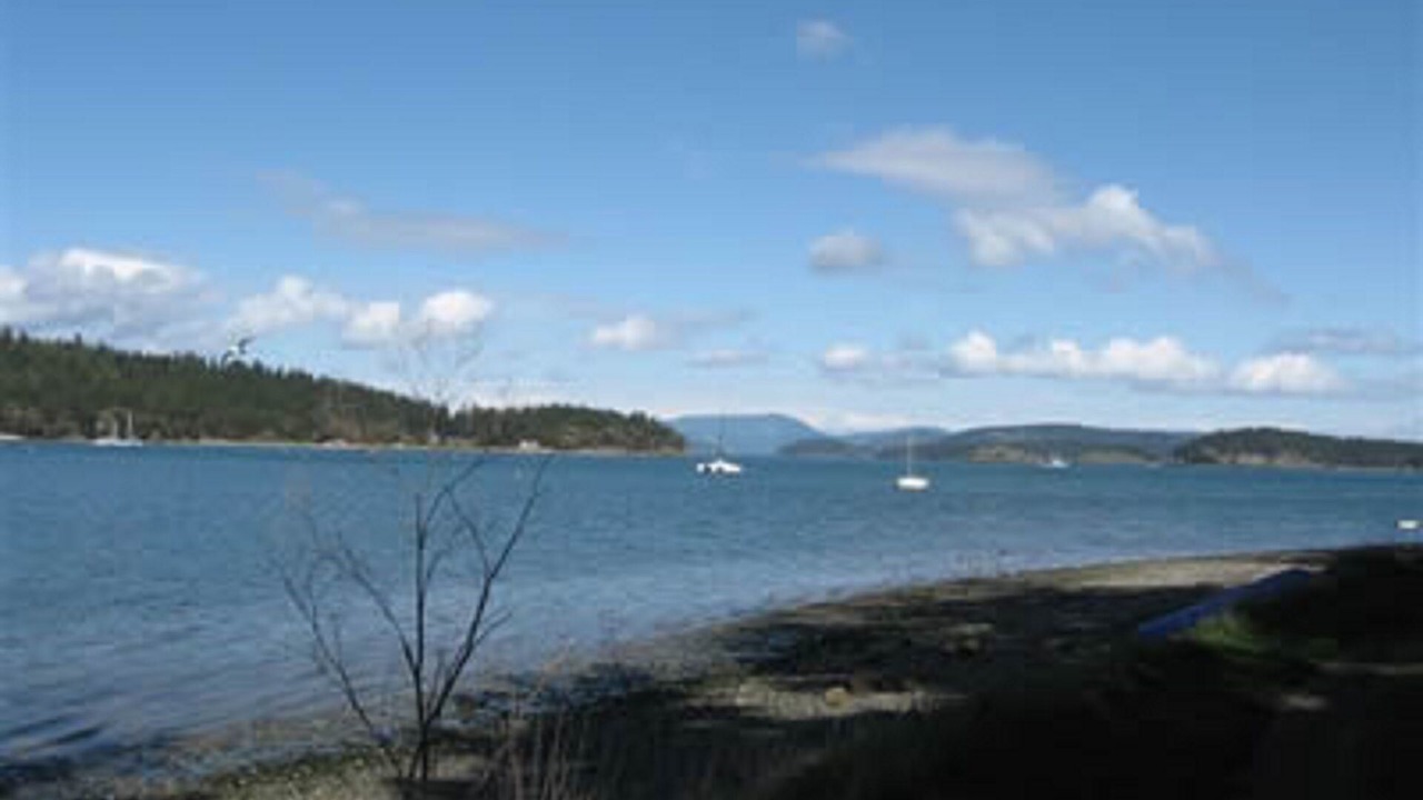 Photo of Others in Lopez Island