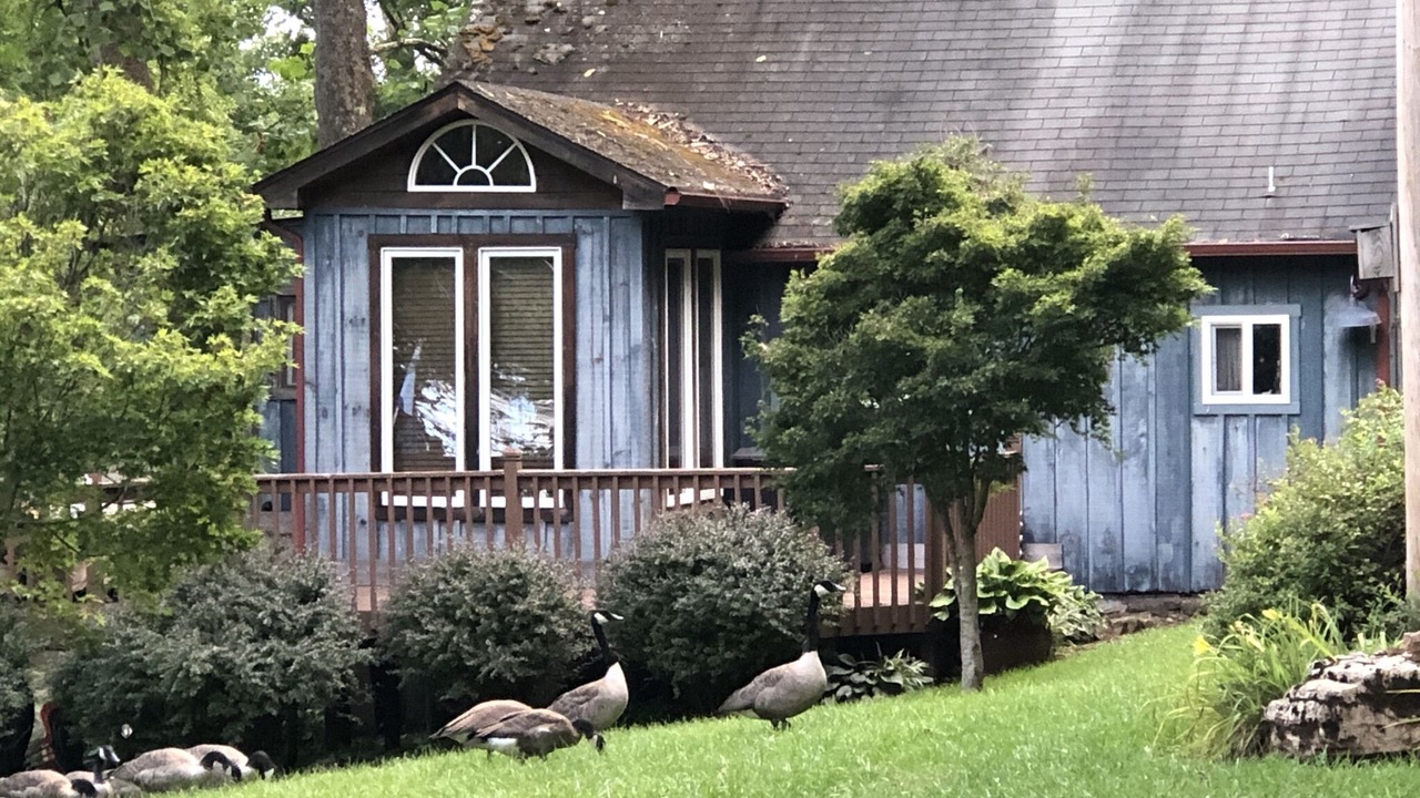Photo of Outdoor in Draper