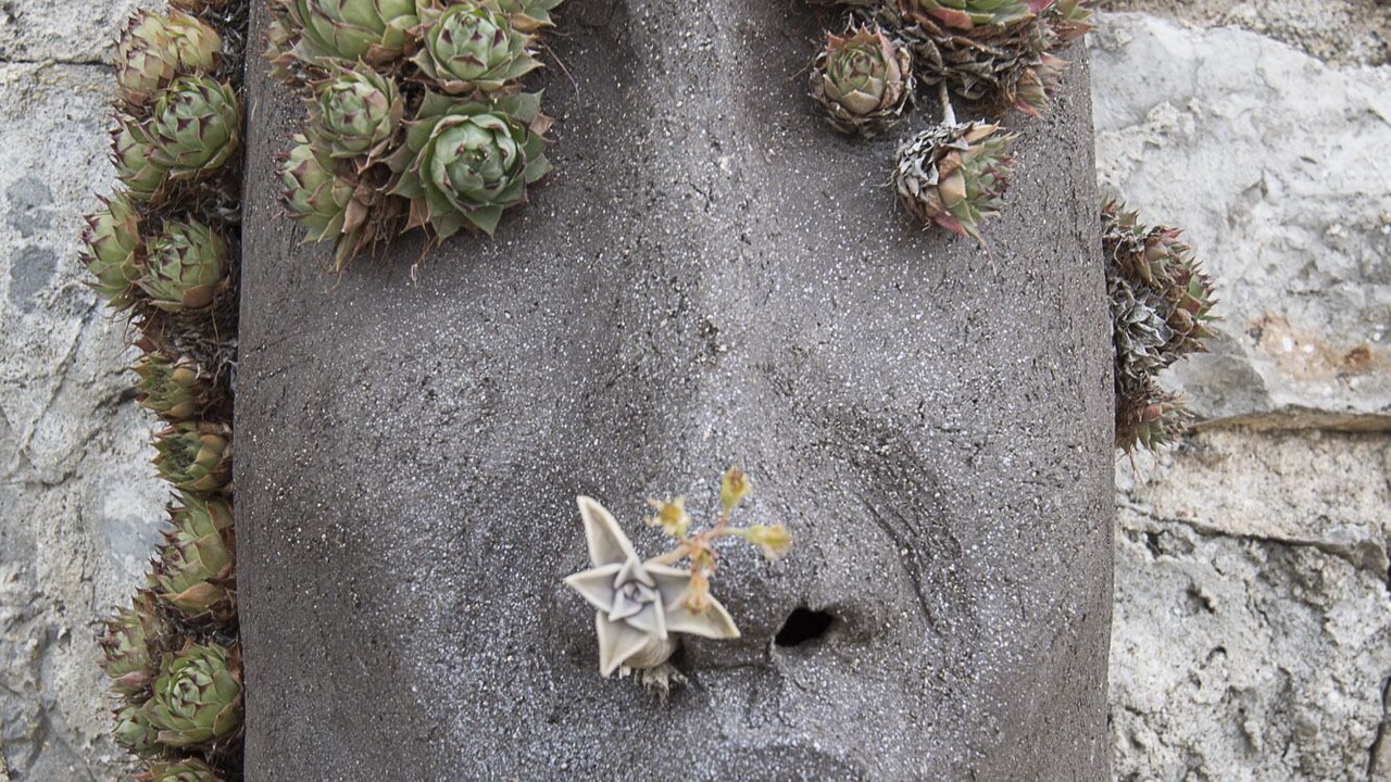 Photo of Others in Balazuc