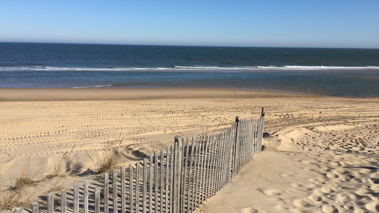 Photo of Others in Fenwick Island
