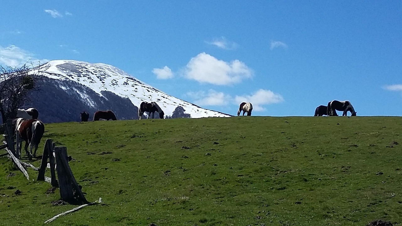 Photo of Others in Arneguy