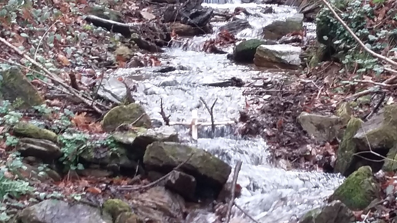 Photo of Outdoor in Arneguy