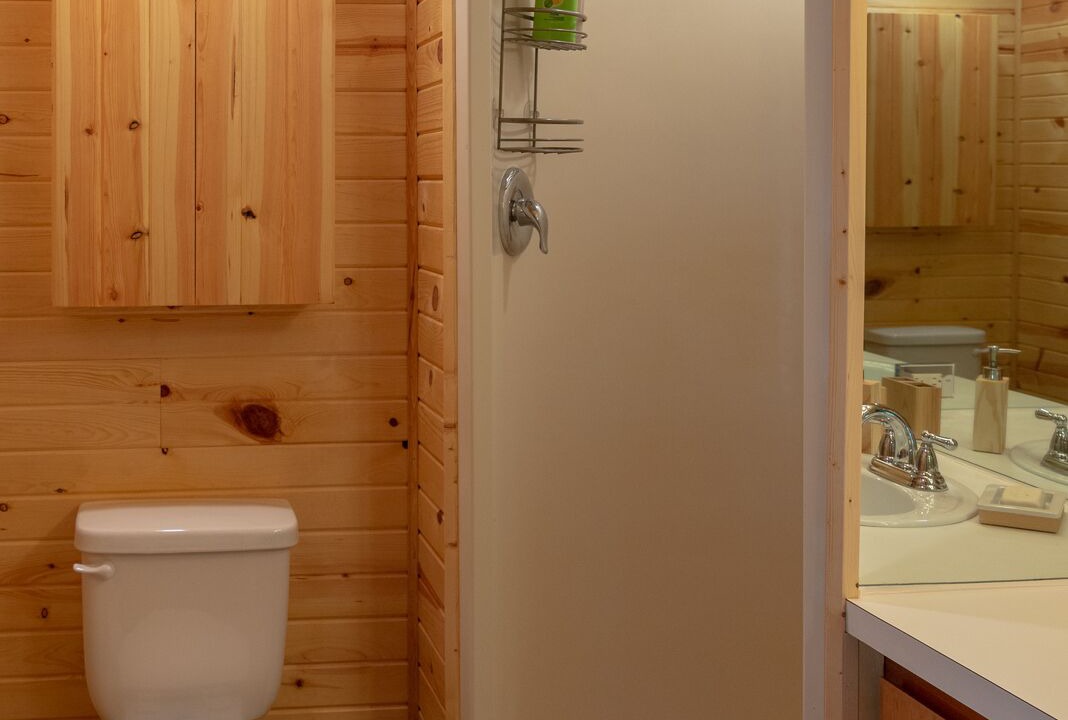 Photo of Bathroom in Boyne Falls