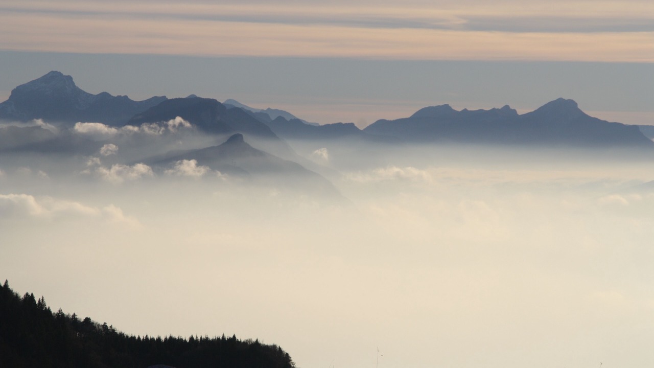 Photo of Others in Le Bourget-du-Lac