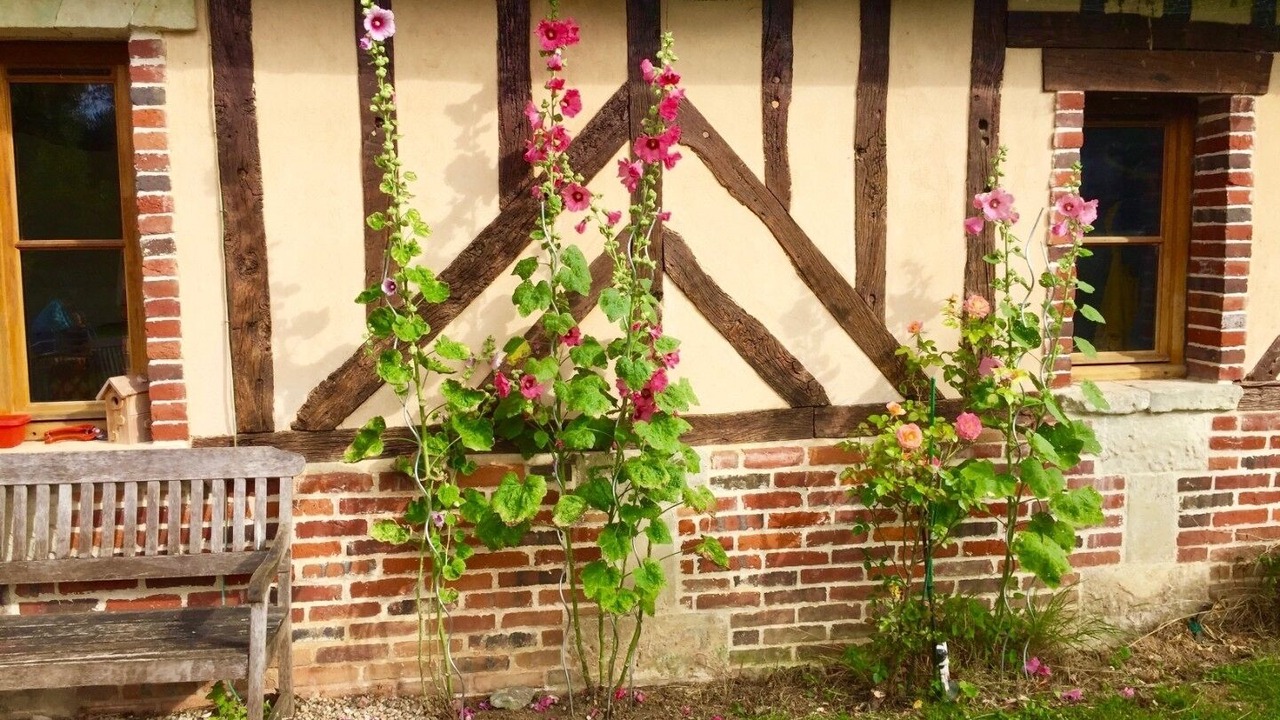 Photo of Outdoor in Auvillars