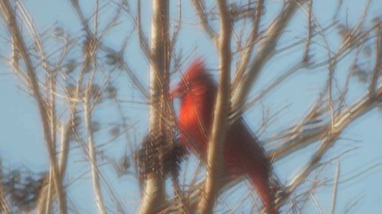 Photo of Others in Broadmoor