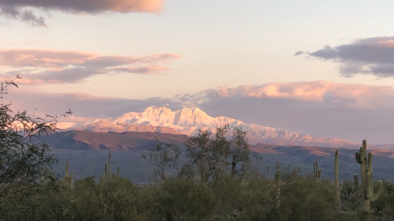 Photo of Others in Rio Verde Foothills