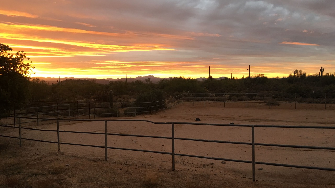 Photo of Others in Rio Verde Foothills