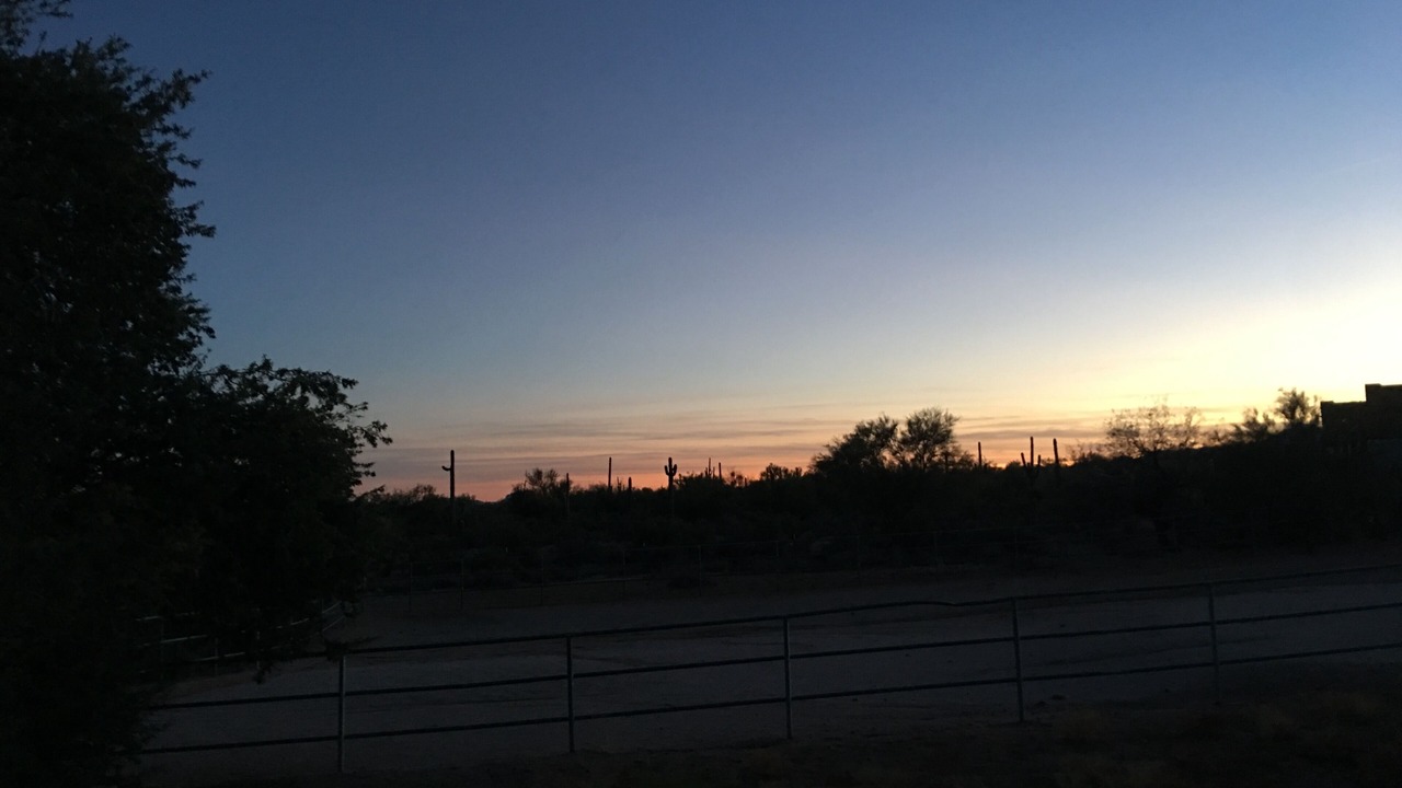 Photo of Others in Rio Verde Foothills