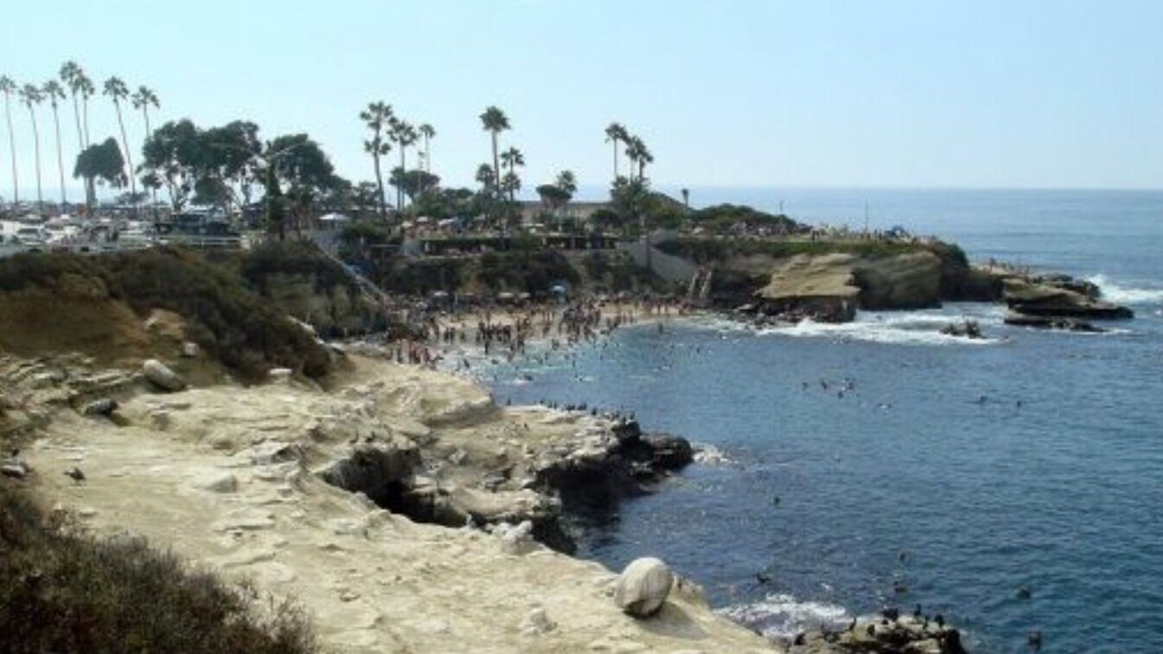 Photo of Others in Beach Barber Tract