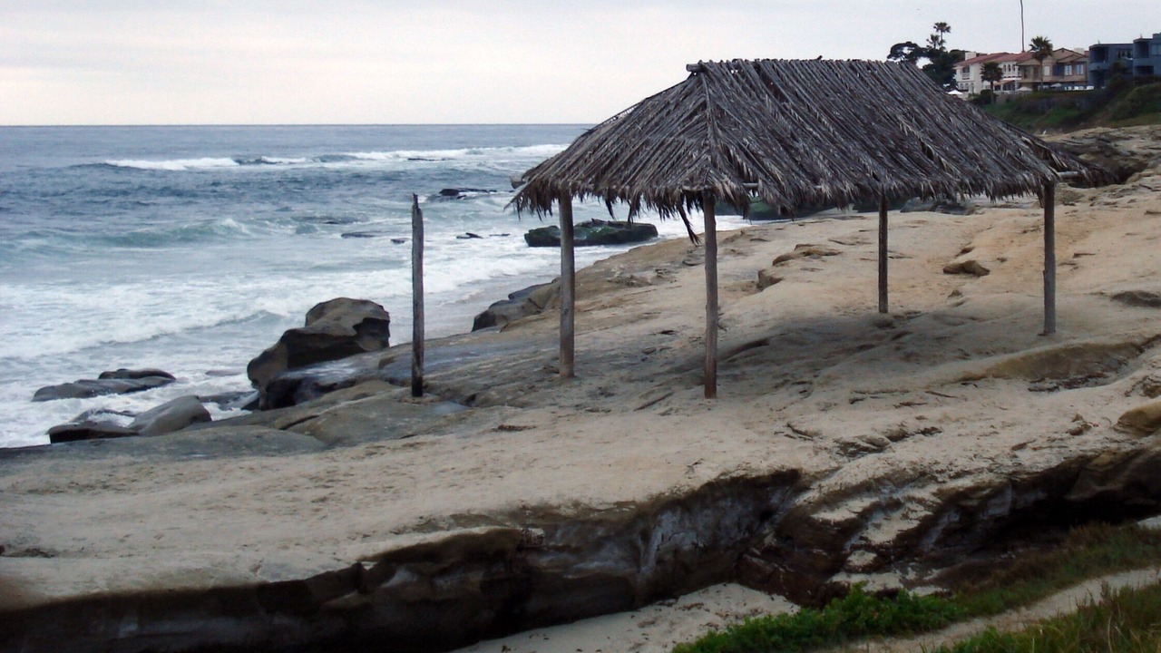 Photo of Others in Beach Barber Tract