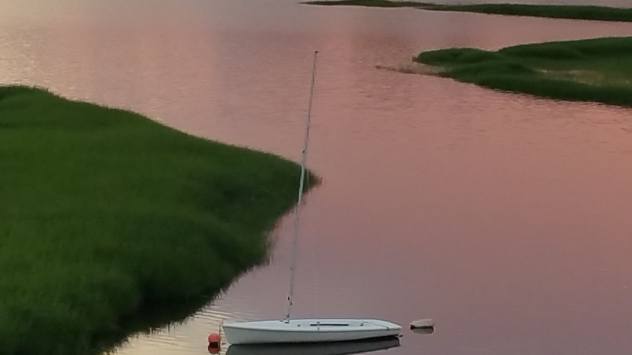 Photo of Others in Newbury