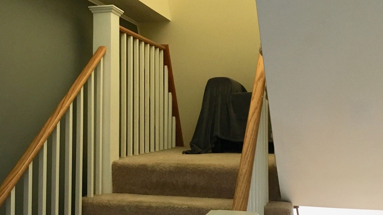 Photo of Others in Newbury