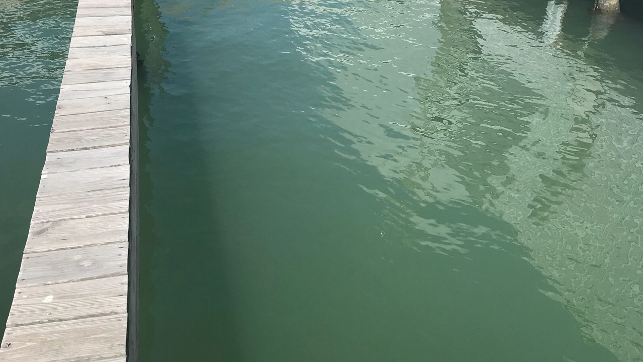Photo of Outdoor in Port O Connor