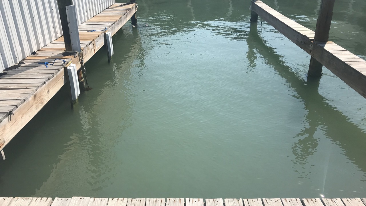 Photo of Outdoor in Port O Connor